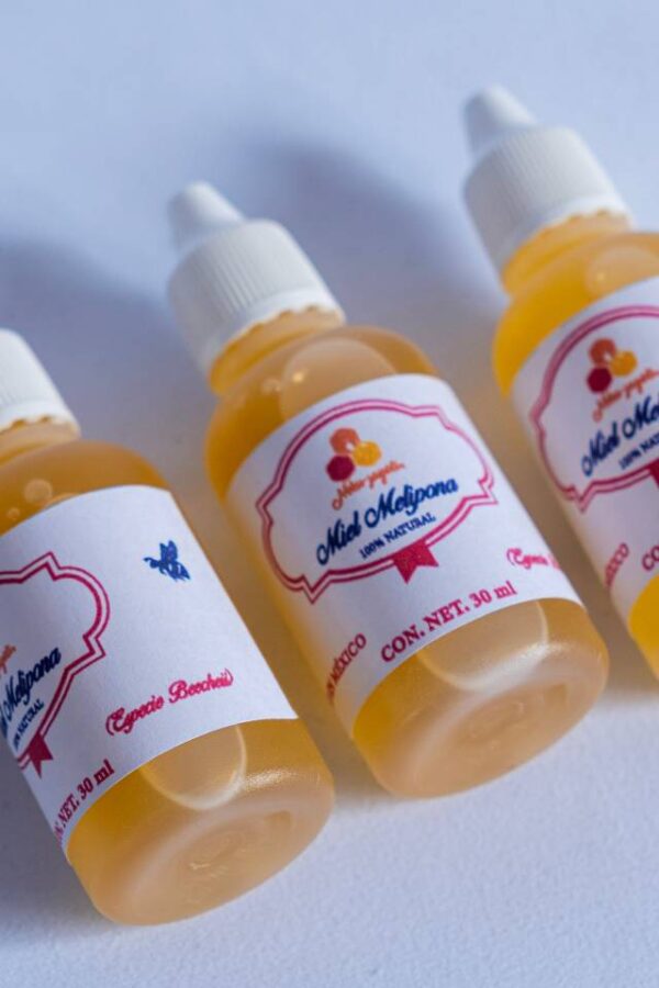 Pack de Miel Virgen de Abeja Melipona Beecheii – 3 Goteros de 30 ml