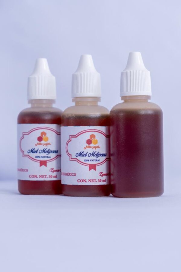 Pack de Miel Virgen de Abeja Melipona – 3 Goteros de 30 ml Pack de Miel Virgen de Abeja Melipona – 3 Goteros de 30 ml | Scaptotrigona Mexicana