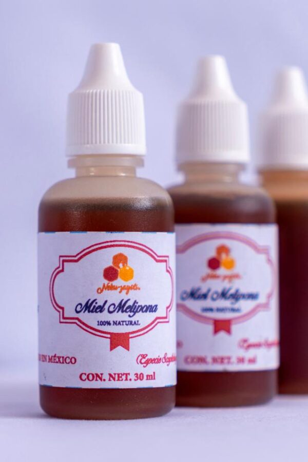 Pack de Miel Virgen de Abeja Melipona – 3 Goteros de 30 ml Img 1 Pack de Miel Virgen de Abeja Melipona – 3 Goteros de 30 ml | Scaptotrigona Mexicana