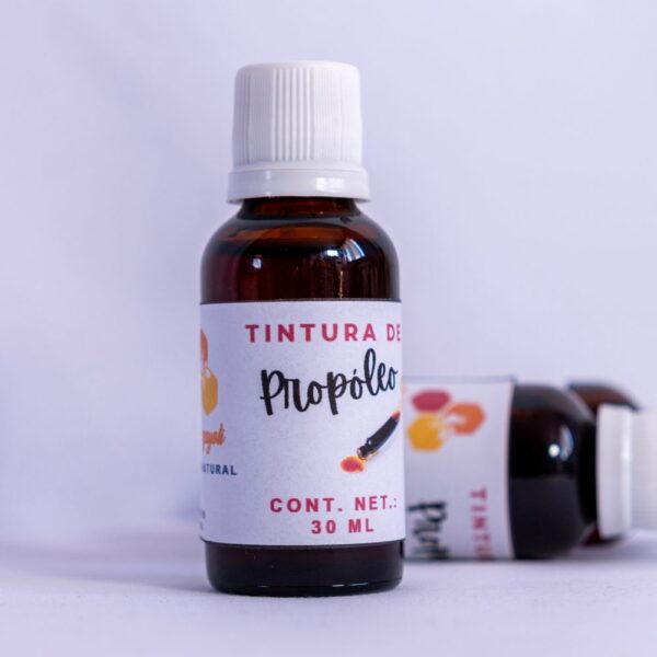 Tintura de Propóleo - 3 Frascos Gotero Pack de Tintura de Propóleo - 3 Frascos de 30 ml