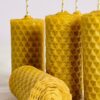Velas de Cera de Abeja Natural – Set de 12 Piezas de 6 cm cada una.